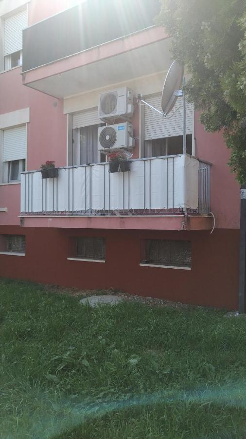 Appartamento Intero Bilocale Vicino All'Ospedale Padwa Zewnętrze zdjęcie